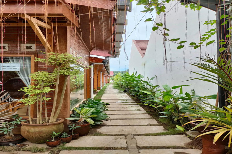 Budi Bambu Homestay, Bantul