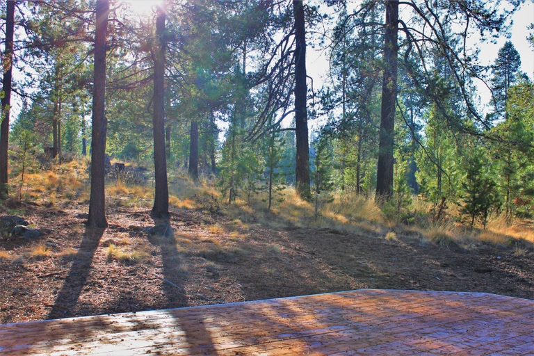 Property grounds, Poplar 32 3 Bedroom Home, Deschutes
