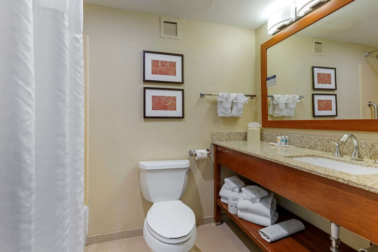 Bathroom 4, Comfort Suites Fredericksburg South, Spotsylvania