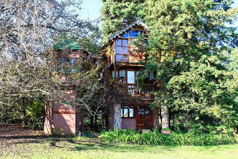 Others 4, Sycamore Avenue Treehouses & Cottages Accommodation, Umgungundlovu