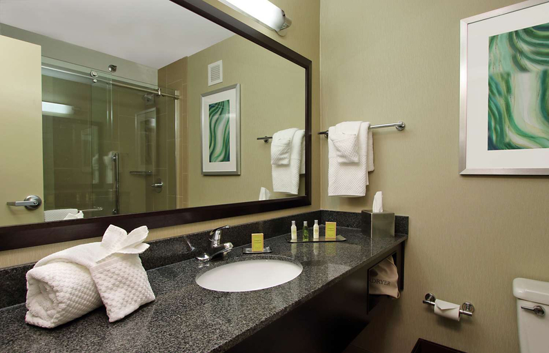 Bathroom 4, DoubleTree by Hilton Hotel Newark, Licking