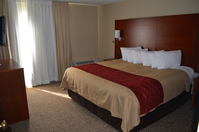 Bedroom 3, Comfort Inn, Chatham