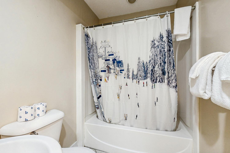 Bathroom 2, Snowcone, Carroll