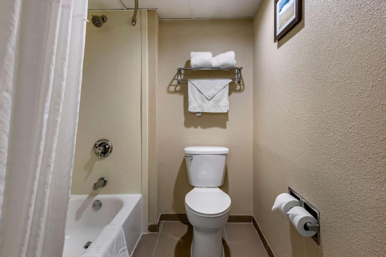 Bathroom 4, Comfort Inn Edison - New Brunswick, Middlesex
