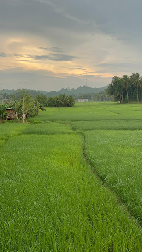 4, Lalie’s Inn , Batuan
