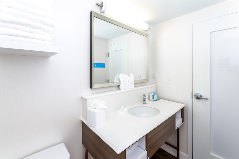 Bathroom 5, HAMPTON INN COLUMBIA I26 HARBISON ROAD, Richland