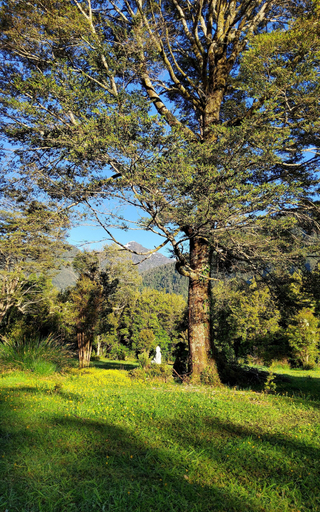 Exterior 5, Salvatierra Lodge, Aisén