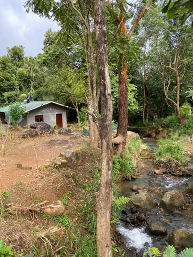 Others 5, Jungle Tide Bungalow, Pathahewaheta