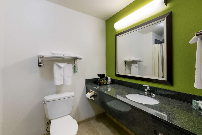 Bathroom 4, Best Western Douglas Inn & Suites, Cochise