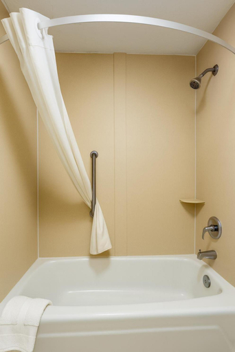 Bathroom 5, Rodeway Inn McDonough South I-75, Henry