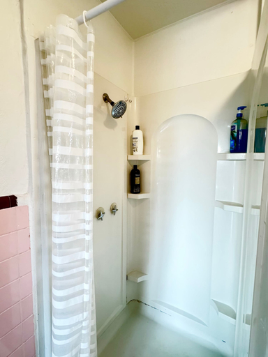 Room 5, Downtown Central Parking Pet Friendly Walk, Pinellas
