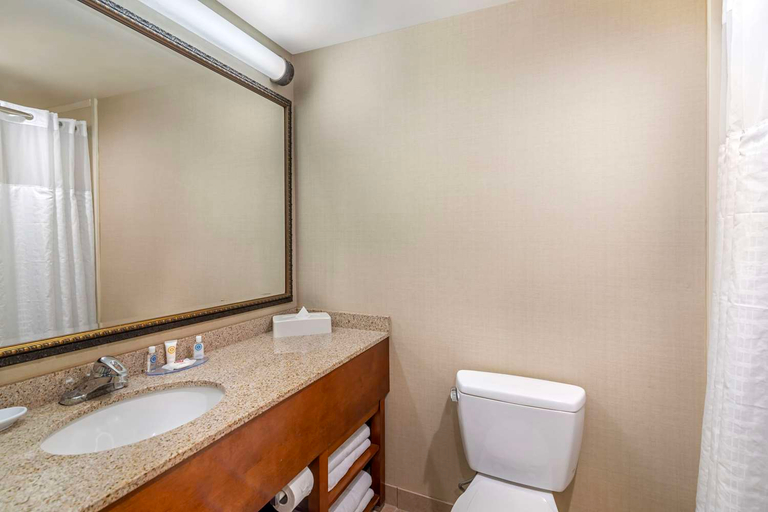 Bathroom 4, Comfort Inn & Suites Dover-Portsmouth, Strafford