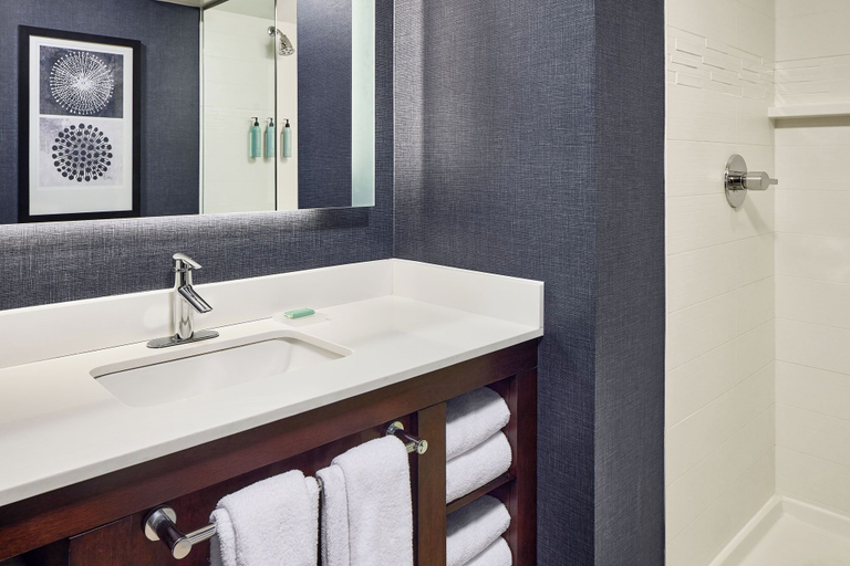 Bathroom 4, Residence Inn Rapid City, Pennington