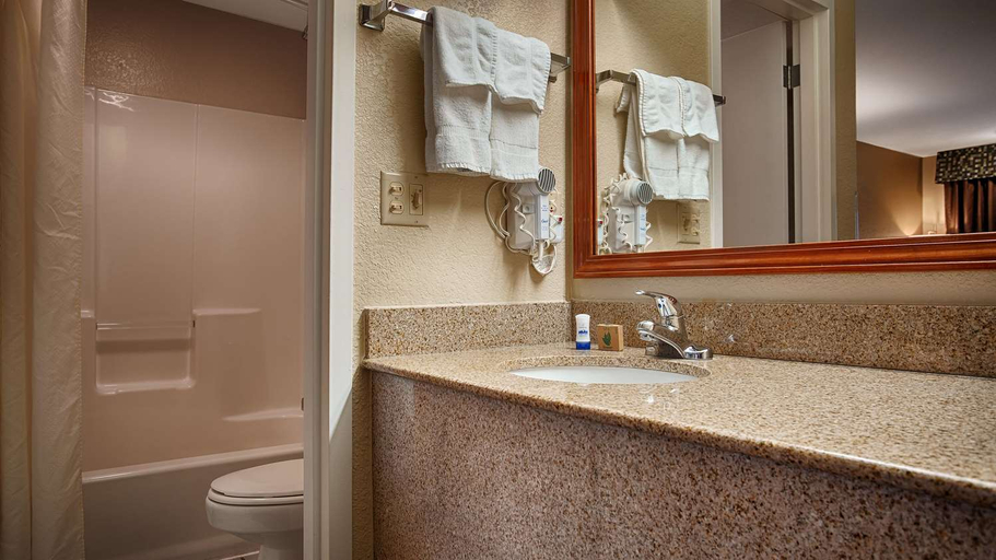 Bathroom 3, Best Western Windsor Inn, Moore