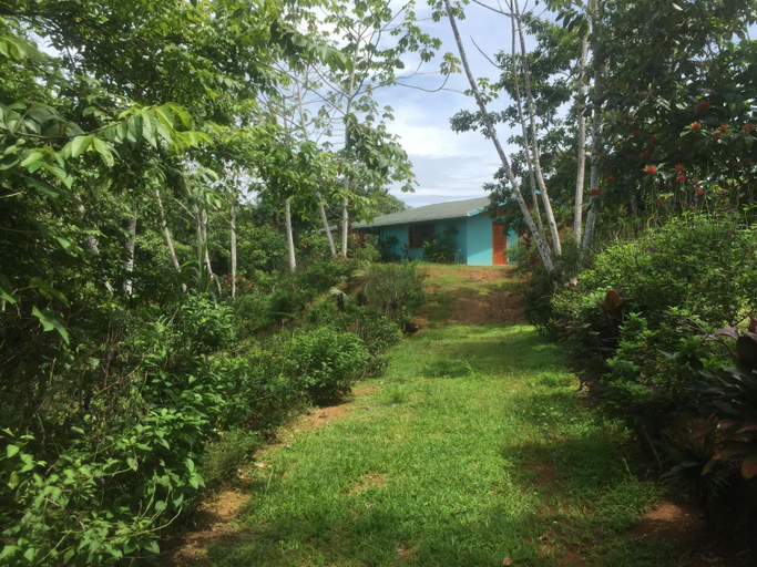 Others 4, Villa with primary forest view, Osa