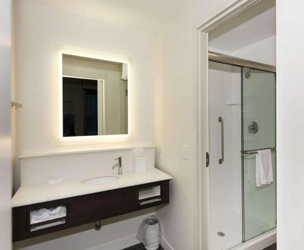 Bathroom 3, Hampton Inn & Suites Minneapolis University Area, Hennepin