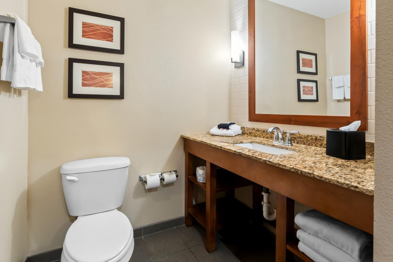 Bathroom 4, Comfort Inn & Suites Avera Southwest, Lincoln