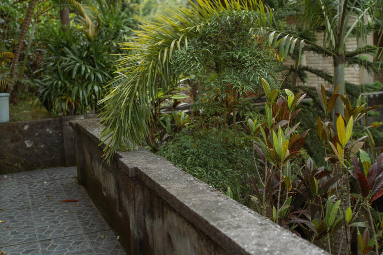 Others 4, Puri Alam Bali Hotel, Buleleng