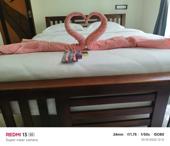 Room 4, BKP Jungle Resorts, Salem