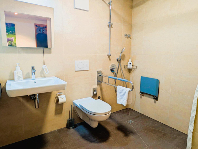 Bathroom 4, Hotel Lamm, Esslingen