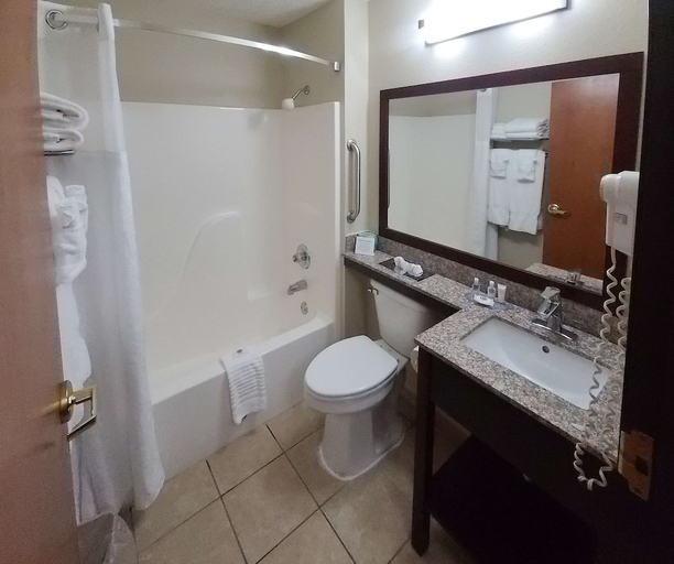 Others 5, Comfort Inn New River, Fayette