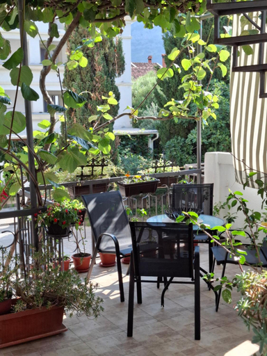 2, Kiwi Apartments Budva