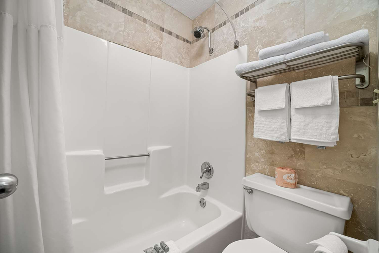 Bathroom 4, Best Western Braselton Inn, Jackson