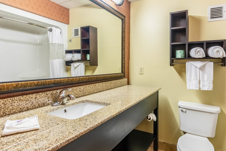 Bathroom 3, Wingate by Wyndham Conway AR, Faulkner