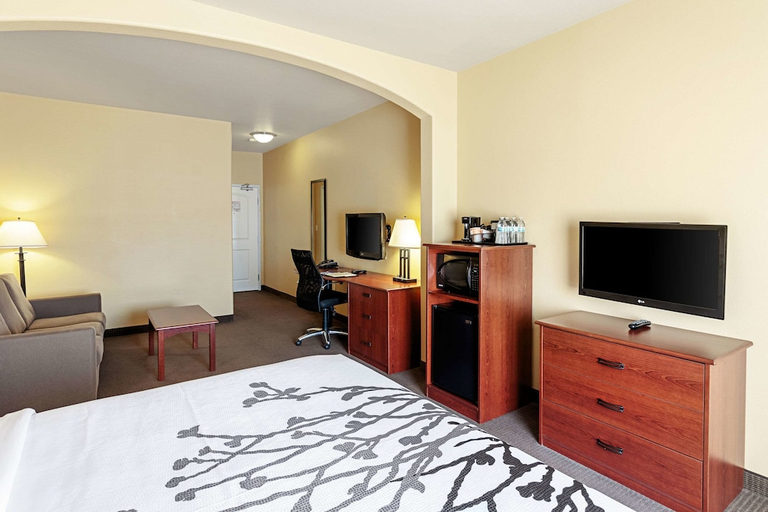Bedroom 3, Sleep Inn & Suites Tyler South, Smith