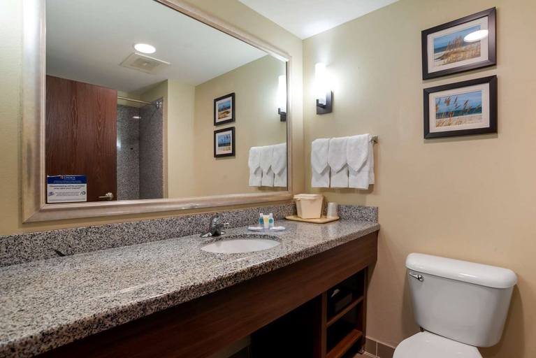 Bathroom 4, Comfort Suites Foley - North Gulf Shores, Baldwin