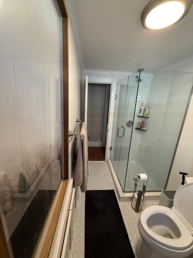 Bathroom 2, St. Cloud Stay, Osceola
