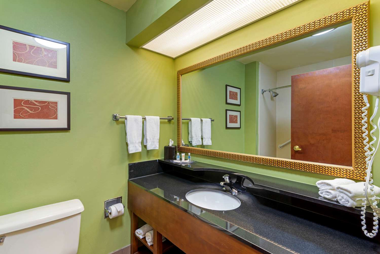 Bathroom 4, Comfort Suites Milledgeville, Baldwin