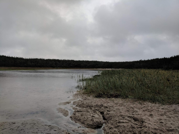 Others 5, person holiday home in Ulfborg, Holstebro