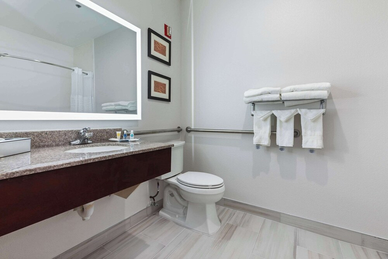 Bathroom 5, Comfort Suites Lombard - Addison, Dupage
