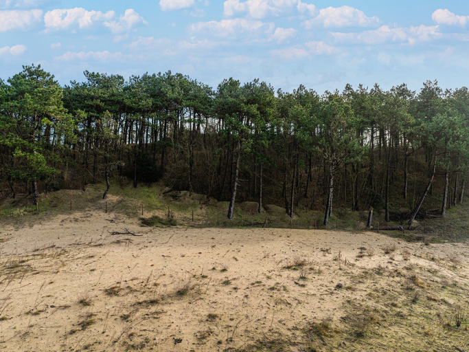 View from property 3, Comfortable Apartment in Egmond aan Zee Near Sea, Bergen
