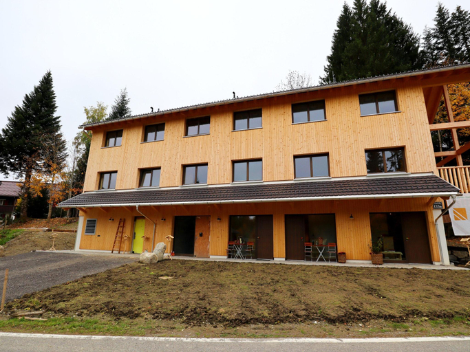 5, Dog-friendly holiday apartment in Bregenzerwald, Bregenz