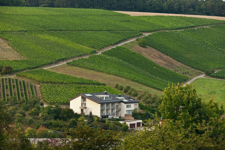 Exterior view 2, BENZ Weingut & Weinhotel, Main-Tauber-Kreis