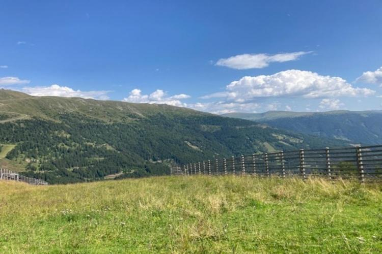 Others 4, Apartment in St. Michael near Ski Slopes, Tamsweg