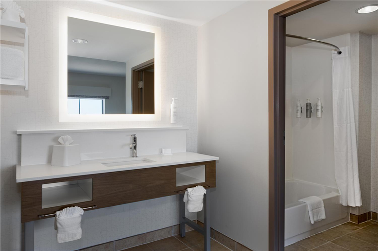 Bathroom 3, Hampton Inn & Suites Dallas Arlington N Entertainment Dist., Arlington