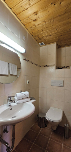 Bathroom 3, Pension Edi, Innsbruck Land