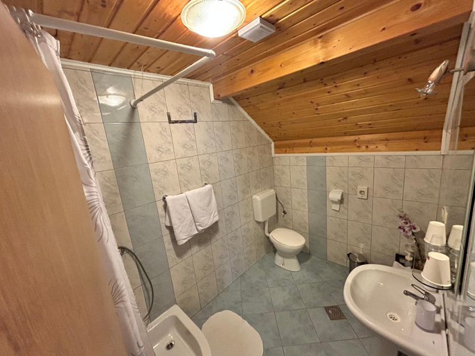 Bathroom 3, Apartments Pavlic, Rakovica