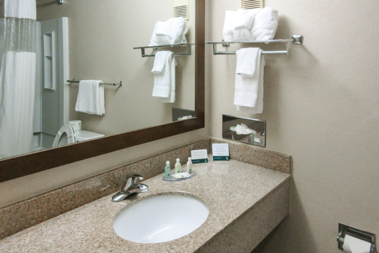 Bathroom 3, Quality Inn Radford-West Blacksburg I-81, Radford