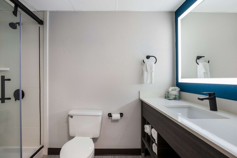 Bathroom 4, Best Western Bordentown Inn, Burlington