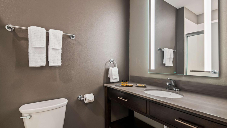Bathroom 4, Best Western Plus Saint Peter, Nicollet