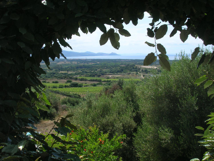 Surrounding environment, Villaggio Sa Ventana, Olbia-Tempio