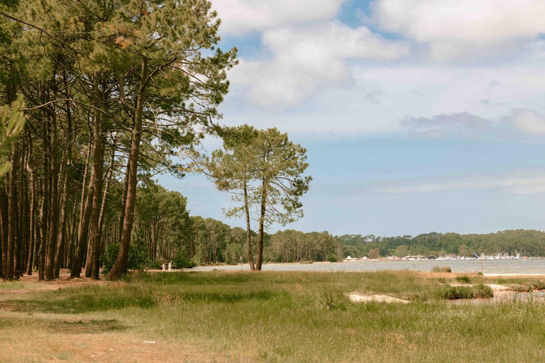 Others 5, Slow Village Biscarrosse Lac, Landes