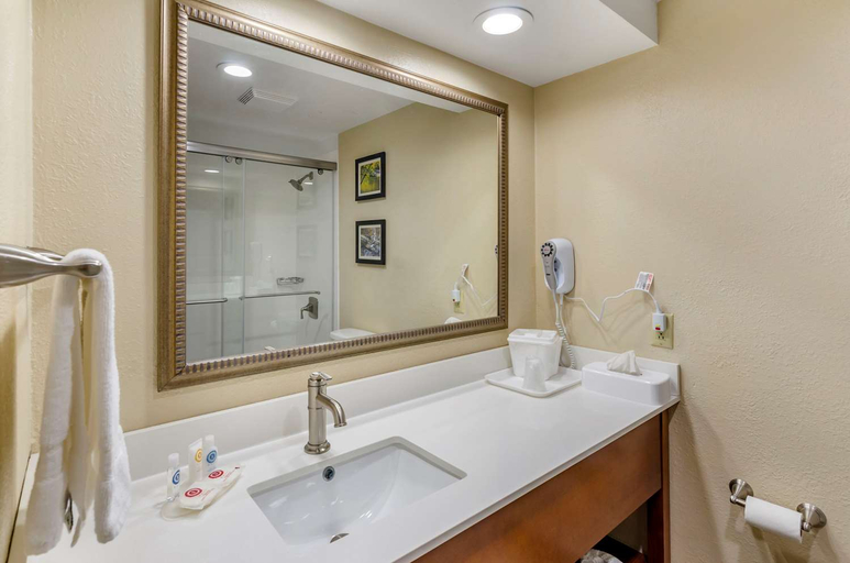 Bathroom 4, Spark by Hilton Waynesboro, Waynesboro