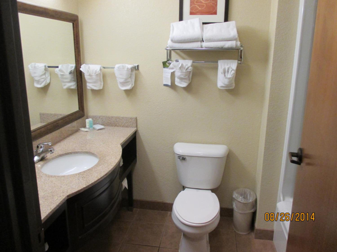 Bathroom 5, Comfort Suites Columbia - University Area, Boone
