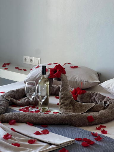 Others 3, A1 Princess Sissy Hotel, South Aegean