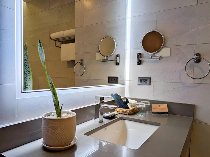 Bathroom 4, Roy's Hotel and Convention Center, Bacolod City
